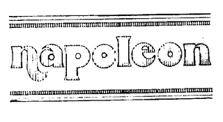 NAPOLEON logo