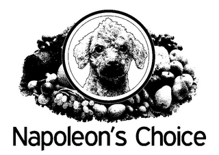 NAPOLEON'S CHOICE logo