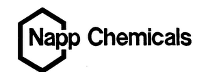 NAPP CHEMICALS logo