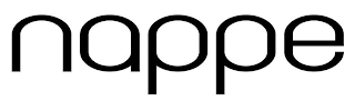 NAPPE logo
