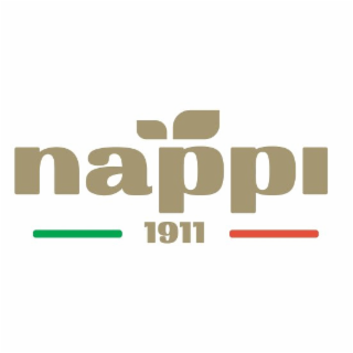 NAPPI 1911 logo