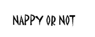 NAPPY OR NOT logo