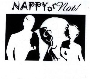 NAPPY OR NOT logo