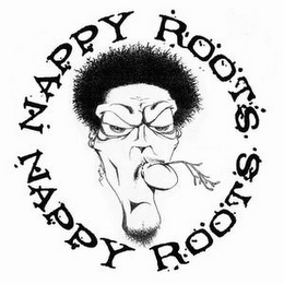 NAPPY ROOTS logo