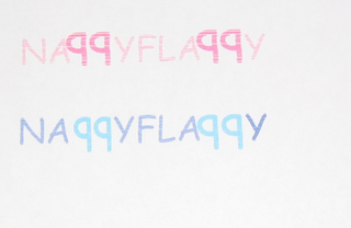 NAPPYFLAPPY logo