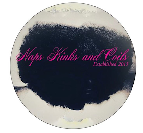NAPS KINKS AND COILS ESTABLISHED 2015 logo