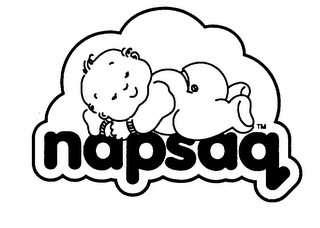 NAPSAQ logo