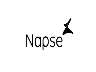 NAPSE logo