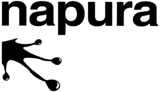 NAPURA logo