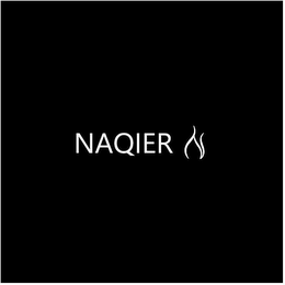 NAQIER logo