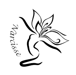 NARCISSE logo