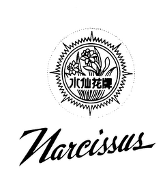 NARCISSUS logo
