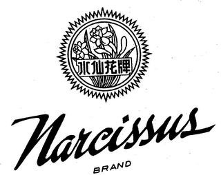 NARCISSUS BRAND logo