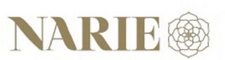 NARIE logo