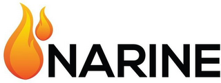 NARINE logo
