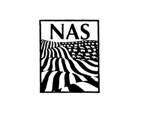 NAS logo