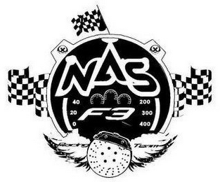 NAS F3 RACING TEAM 40 20 0 200 300 400 logo