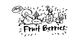 NASH NN SOUR FRUIT BERRIES logo