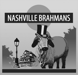 NASHVILLE BRAHMANS logo