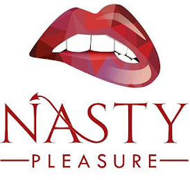 NASTY PLEASURE logo