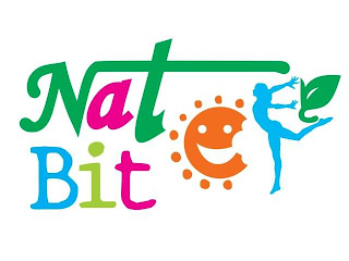 NAT BIT logo