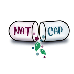 NAT CAP logo