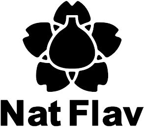 NAT FLAV logo