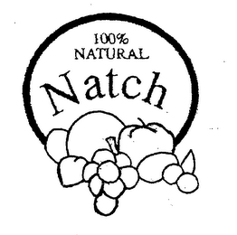 NATCH 100% NATURAL logo