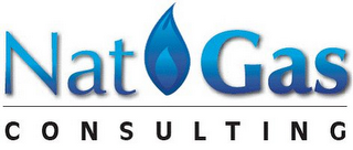 NATGAS CONSULTING logo