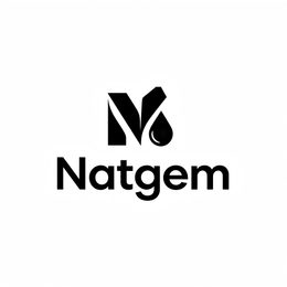 NATGEM logo