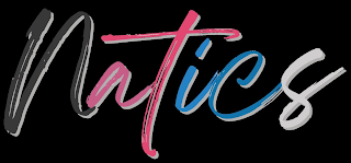 NATICS logo
