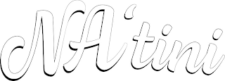 NA'TINI logo