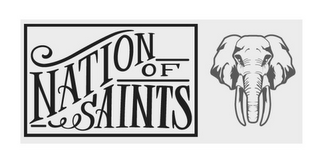 NATION OF SAINTS logo