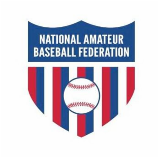 NATIONAL AMATEUR BASEBALL FEDERATION logo