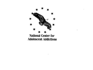 NATIONAL CENTER FOR ADOLESCENT ADDICTIONS logo