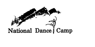 NATIONAL DANCE CAMP logo