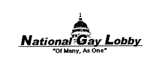 NATIONAL GAY LOBBY "OF MANY, AS ONE" logo