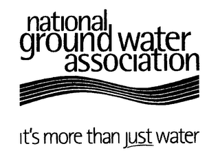 NATIONAL GROUND WATER ASSOCIATION IT'S MORE THAN JUST WATER logo
