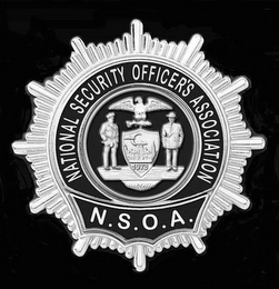 NATIONAL SECURITY OFFICER'S ASSOCIATION 1973 N.S.O.A. logo