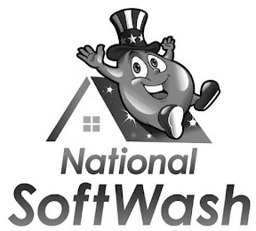 NATIONAL SOFTWASH logo