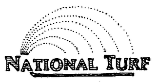 NATIONAL TURF SYSTEMS logo