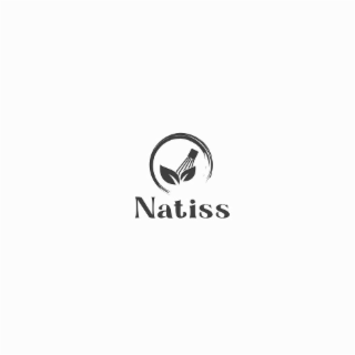 NATISS logo