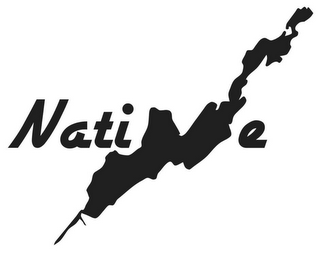 NATIVE logo