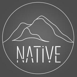 NATIVE logo
