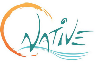 NATIVE logo