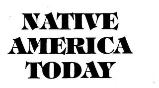 NATIVE AMERICA TODAY logo
