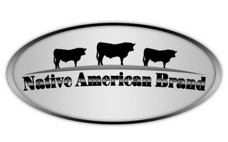 NATIVE AMERICAN BRAND logo