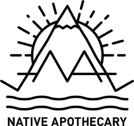 NATIVE APOTHECARY NA logo