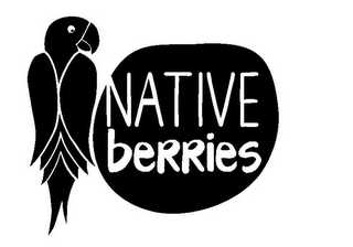 NATIVE BERRIES logo