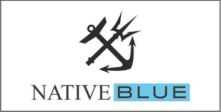 NATIVE BLUE logo